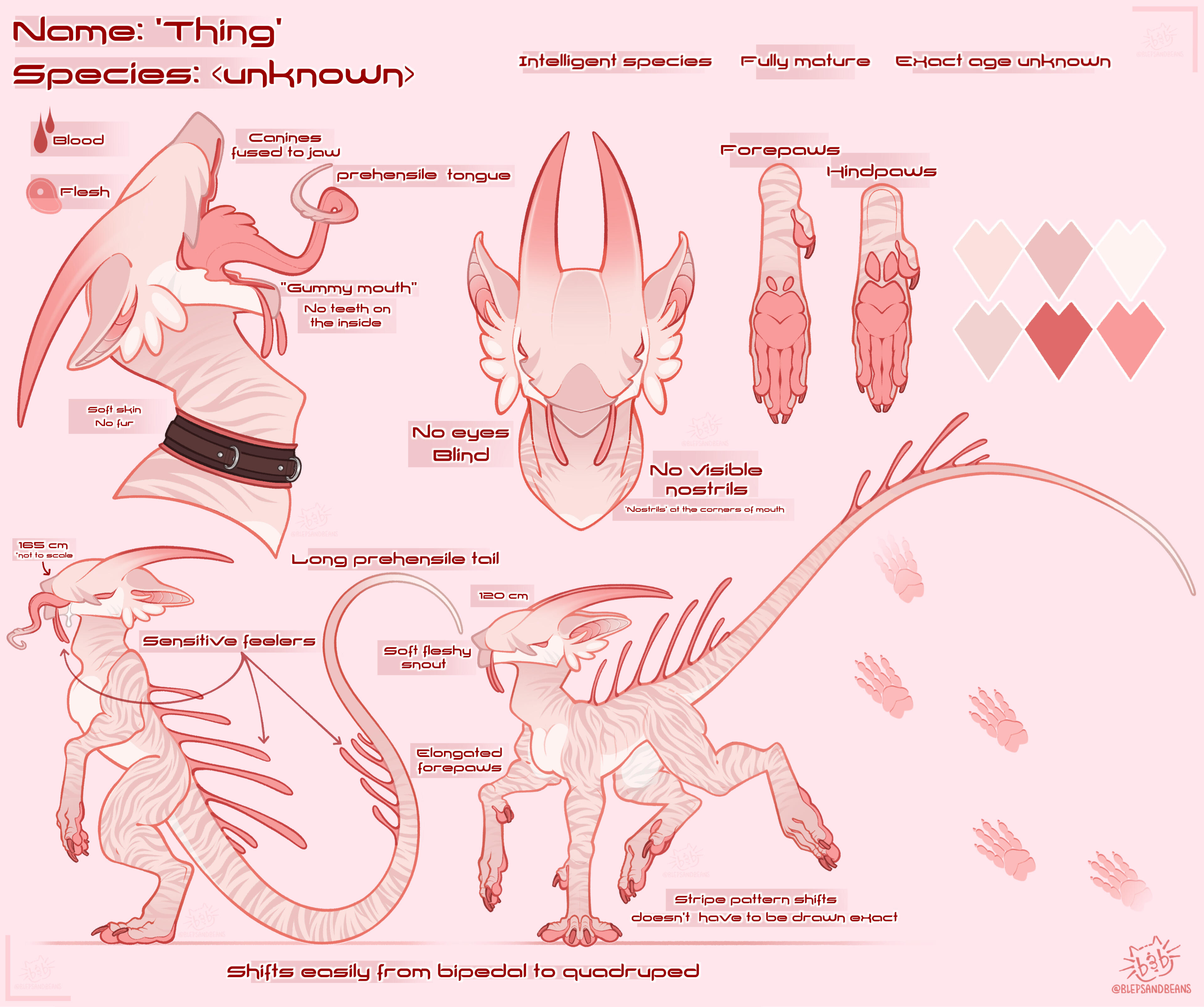 +Alt feral version, + 2 headshots, + 1 appendages (bundled hind and forepaw), + extended writing +Alt feral version, + 2 headshots, + 1 appendages (bundled hind and forepaw), + extended writing